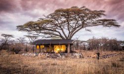 Legendary Expeditions - Tanzania 